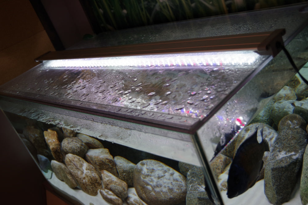 60センチ(cm)水槽・水槽セット10選！初心者に断然おすすめ！ – Fish