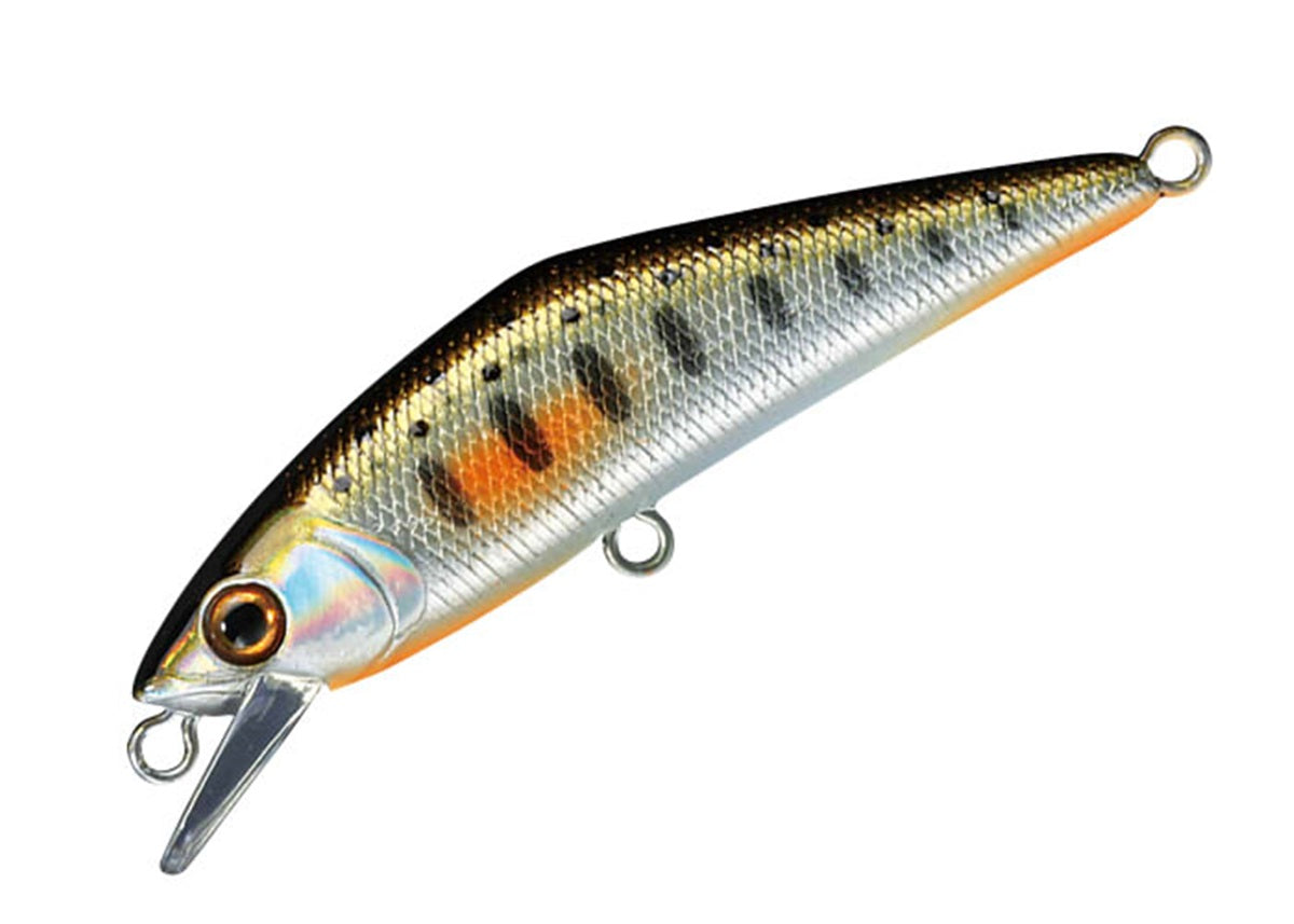 Dコンタクトはヘビーシンキングミノーの定番！渓流で大活躍！ – Fish