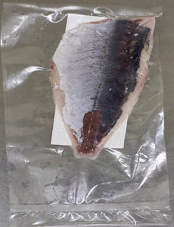 天然 真アジフィレ